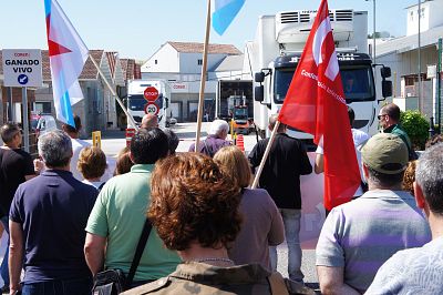 2016 08 06 ManifaServicarneFrigolouroPorrinho23.JPG